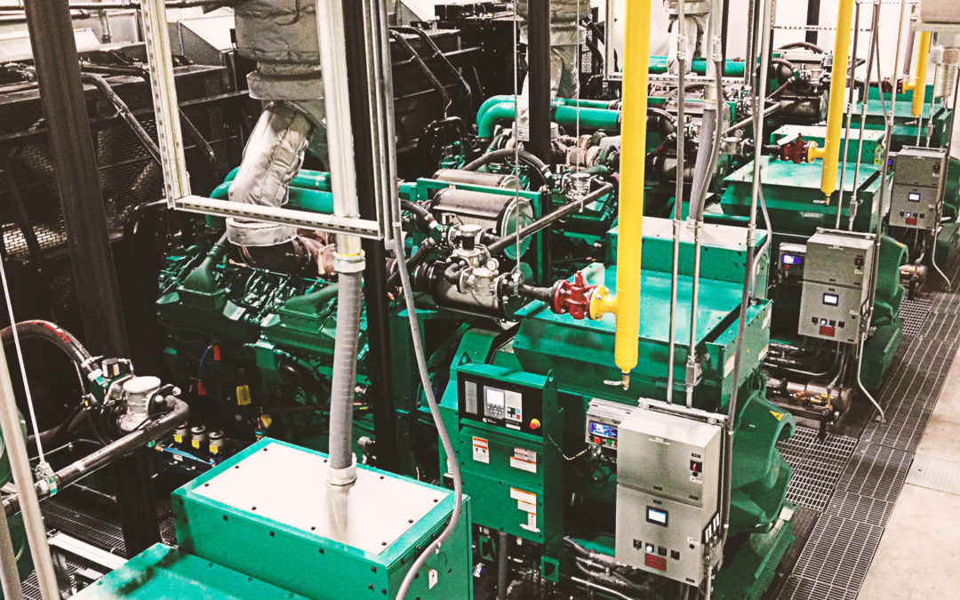 Dual Fuel Engine : Diesel – Natural Gas Conversion Kit